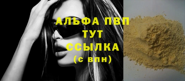 прущие грибы Пересвет