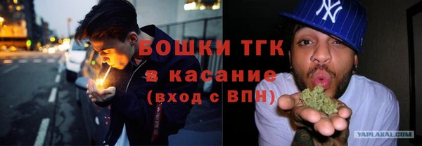дмт Алексин