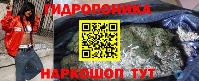 спиды Канаш