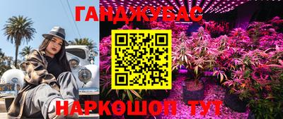 спиды Канаш