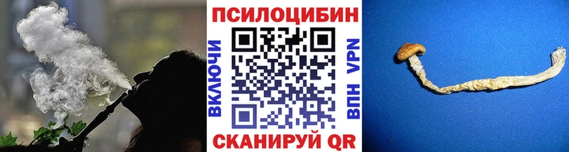 omg   Нововоронеж  Псилоцибиновые грибы Psilocybine cubensis  где купить наркоту 
