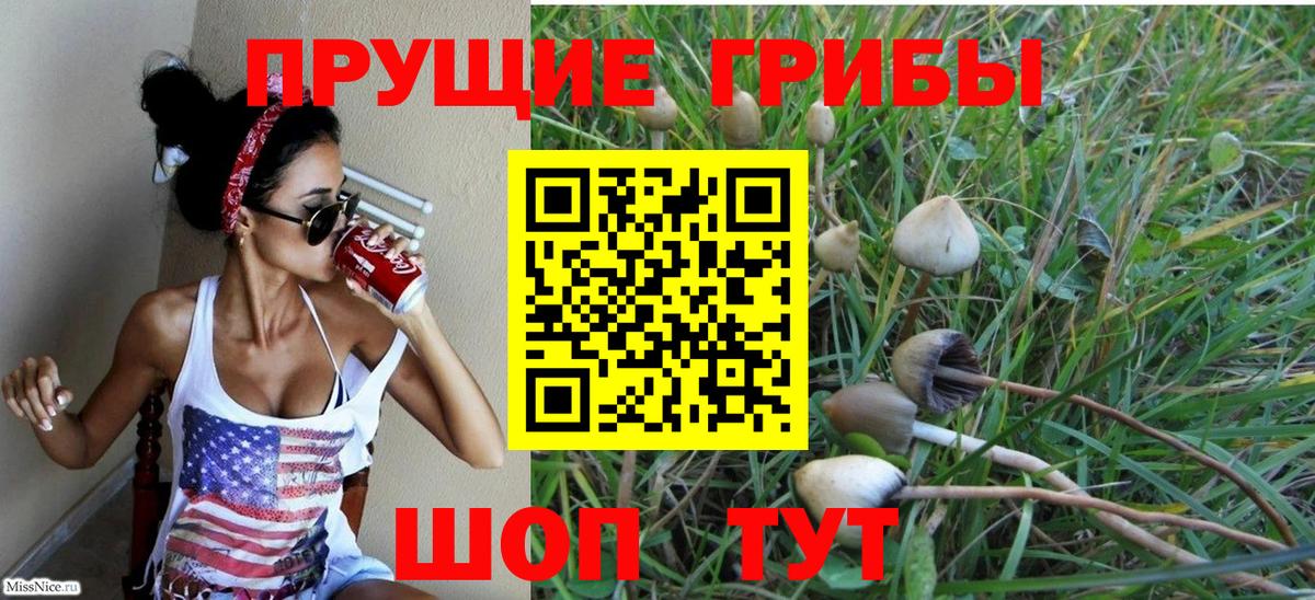 Нововоронеж  Псилоцибиновые грибы прущие грибы  Вход с VPN 