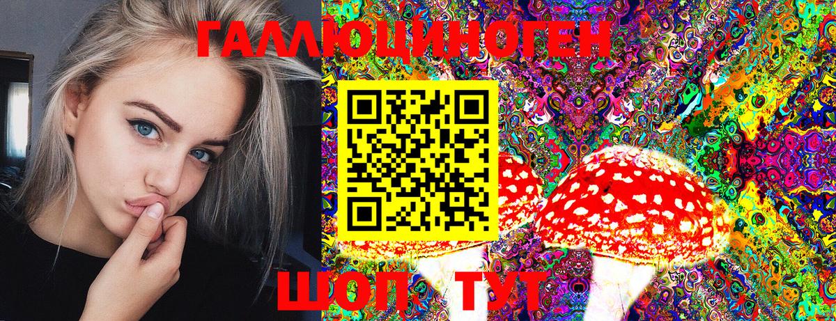 Псилоцибиновые грибы прущие грибы Нововоронеж