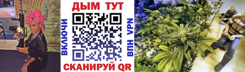 Канабис план купить наркоту Нововоронеж